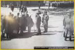 Jews from Hungary Undergoing Selection